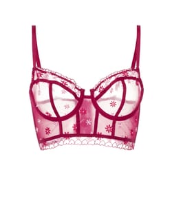 Balconette bustier with embroidered floral patterns;