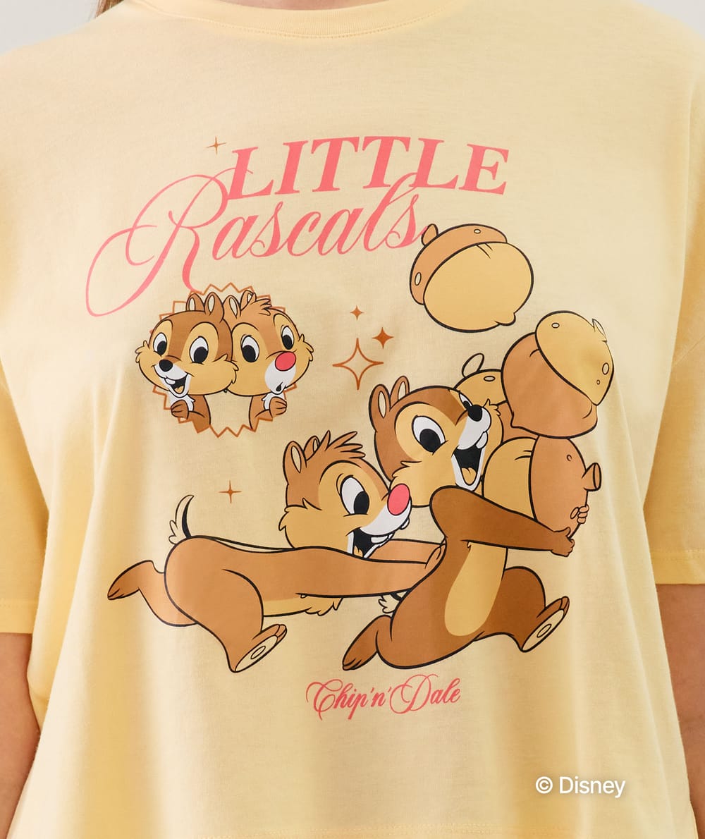 Chip 'n Dale jersey top;