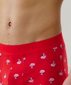 Cotton boxer shorts with pattern;