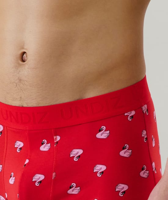 Cotton boxer shorts with pattern;