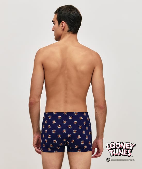 Boxer Taz;