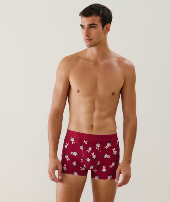 Boxer shorts with gnome pattern;