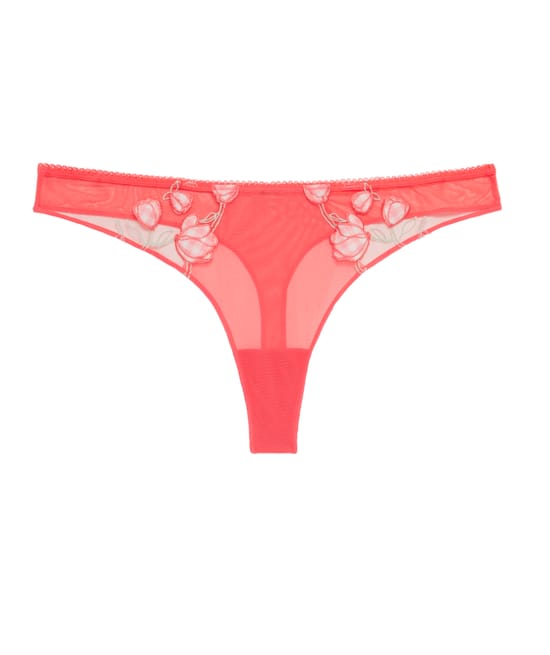 Embroidered tulle thong;