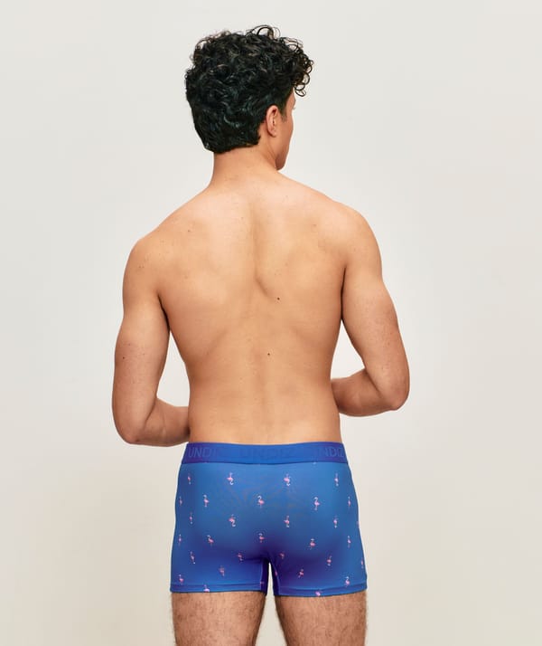 Microfiber boxer with flamingo patterns;