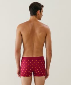 Boxer en coton motifs citrouilles;