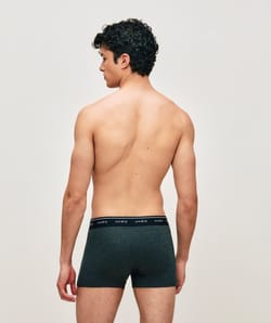 Plain cotton boxer shorts;
