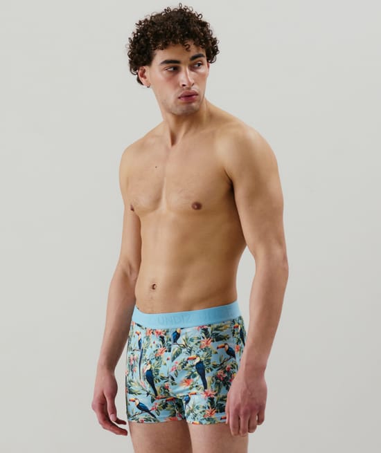 Patterned boxer shorts;