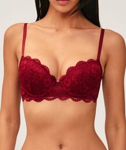Soutien-gorge ampliforme en dentelle florale;