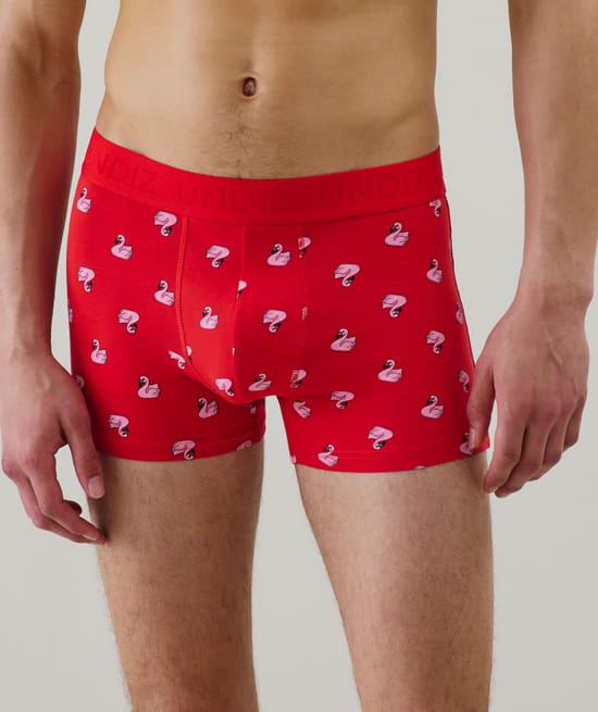 Cotton boxer shorts with pattern;
