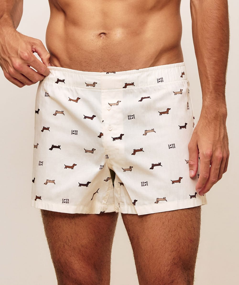 Boxers de algod&oacute;n impresos con teckels Chlosertoyou;