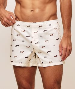 Boxers de algod&oacute;n impresos con teckels Chlosertoyou;