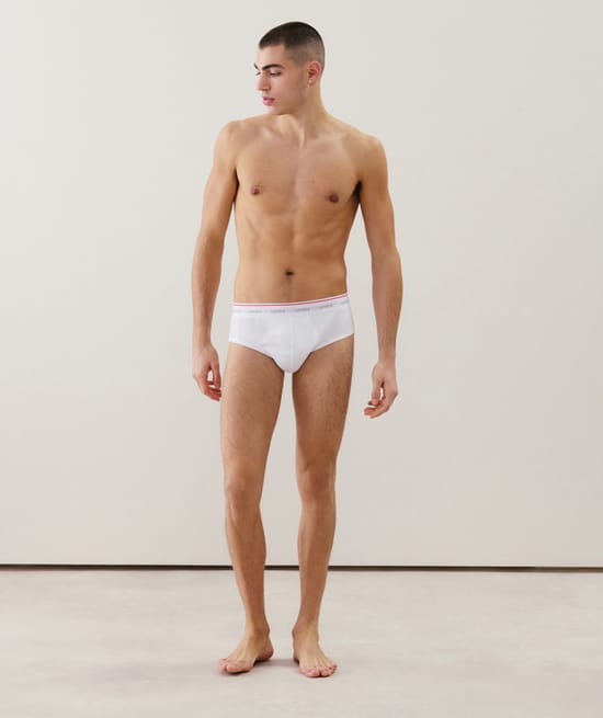 Cotton briefs;