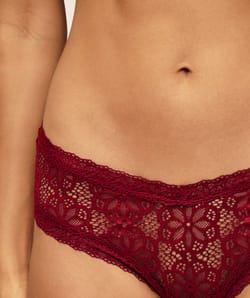 Lace cheeky briefs;