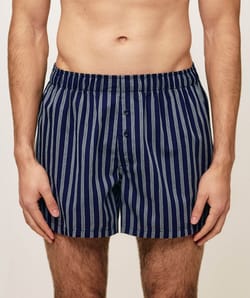 Cotton striped boxer shorts;