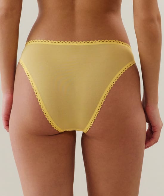 Tulle brief with embroidery;