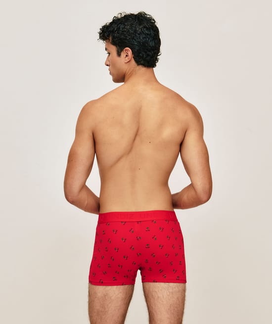 Printed cherry cotton shorts;