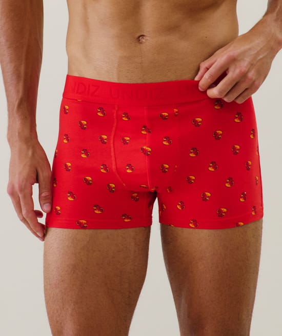 Cotton boxer shorts with pattern;