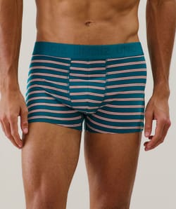 Cotton striped boxer shorts;