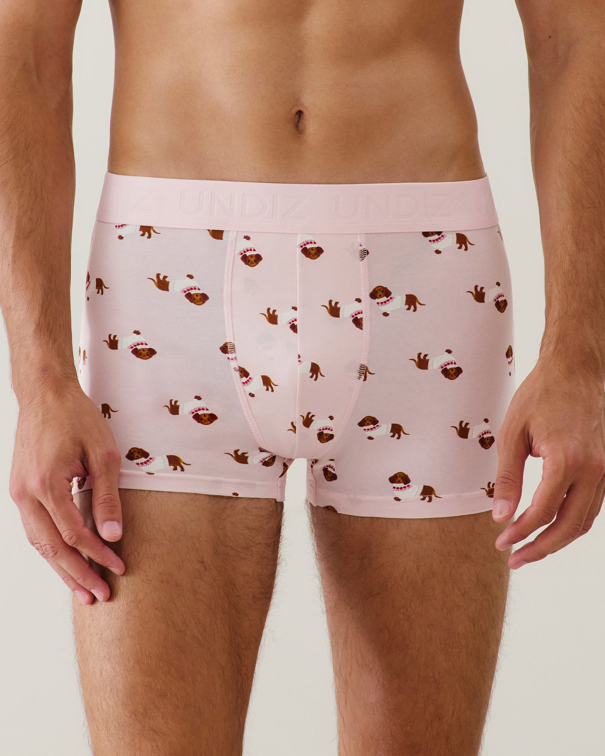 Cotton boxer shorts with dachshund pattern - pink - Undiz