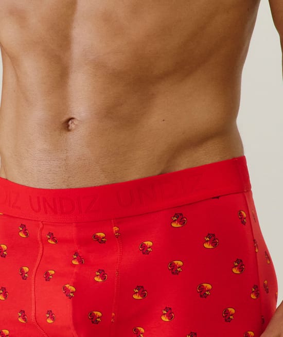 Cotton boxer shorts with pattern;