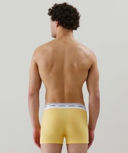 Cotton boxer shorts;