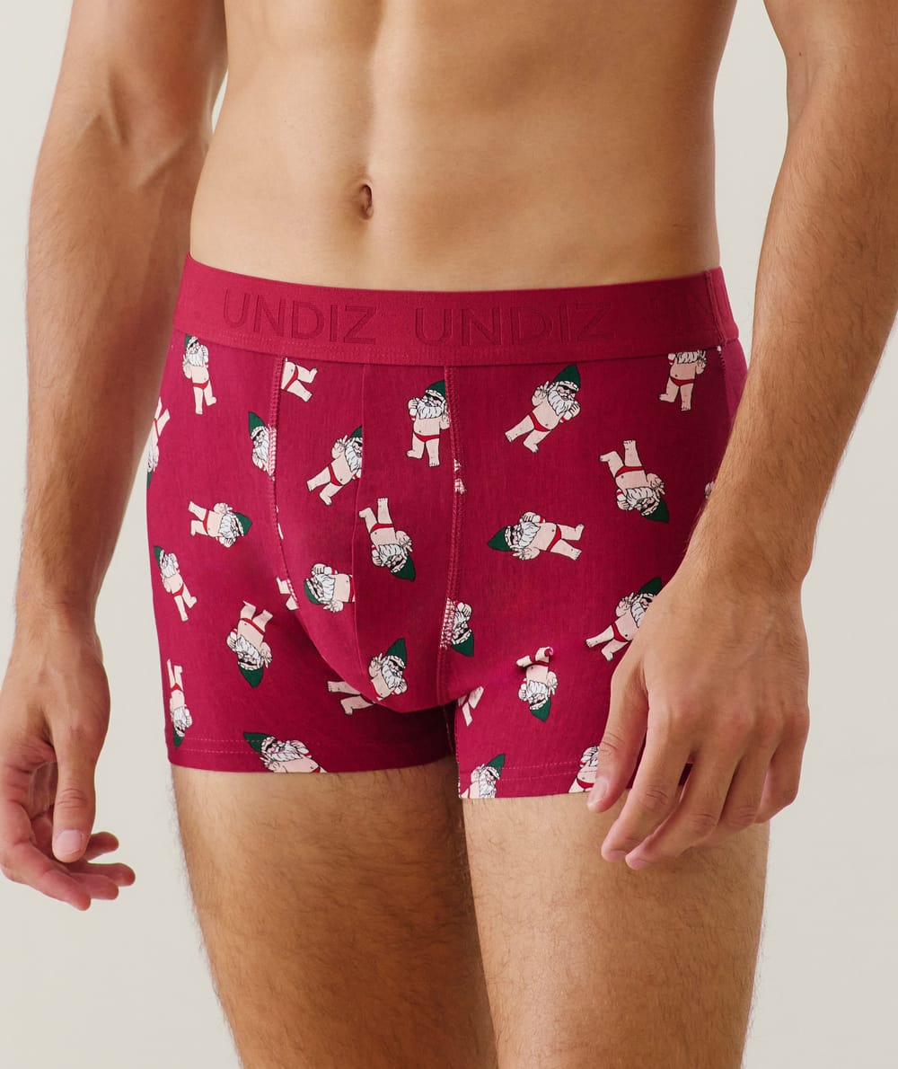 Boxer shorts with gnome pattern;