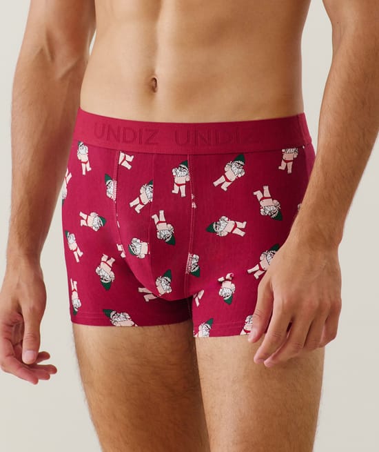 Boxer shorts with gnome pattern;