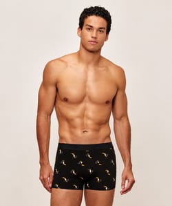 Printed cotton boxer with toucans;