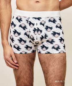 San Goku microfibre boxer shorts;