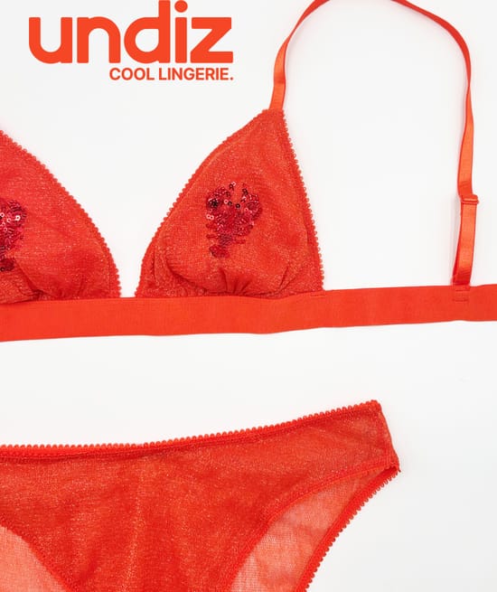 Triangle bra in tulle with embroidery;